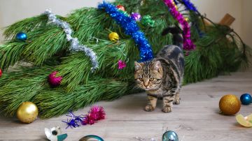 Ideas para colocar tu árbol de navidad si tienes gatos