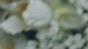 Bañarse en pareja: Beneficios y reafirmación de amor propio