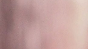 10 motivos por los que tu gato se escapa de casa