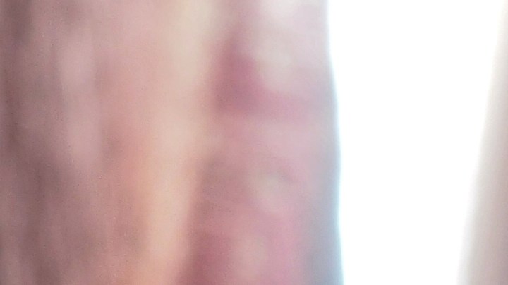 10 motivos por los que tu gato se escapa de casa