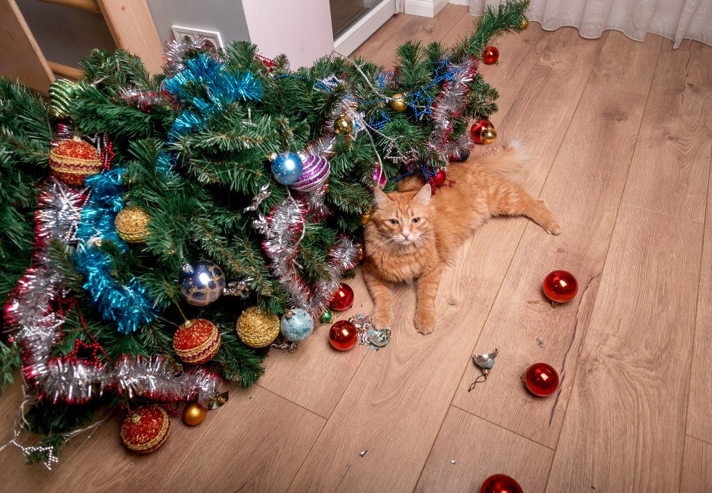 Ideas para colocar tu árbol de navidad si tienes gatos