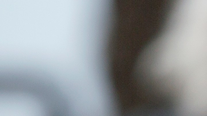 Georgina Rodríguez presume la educación que ofrece a sus hijos