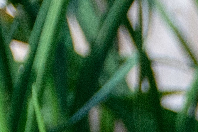 Ahorrar agua y tener plantas en casa son hábitos sostenibles fáciles de practicar