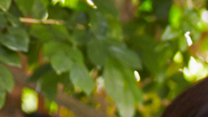 10 actividades que puedes compartir con tu amigas que también son mamás