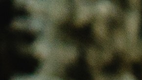 Guía para identificar síntomas de ansiedad en niños