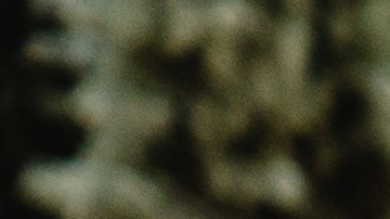 Guía para identificar síntomas de ansiedad en niños