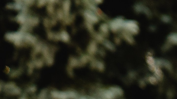 Guía para identificar síntomas de ansiedad en niños