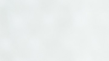 Invernadero y otros consejos para cuidar tus plantas en el invierno