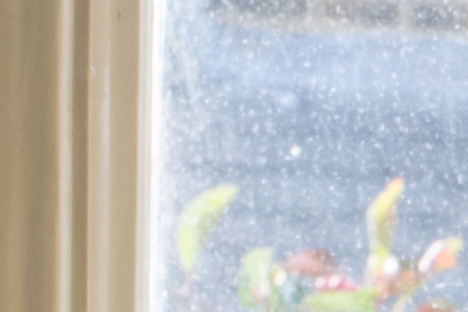 Ahorrar agua y tener plantas en casa son hábitos sostenibles fáciles de practicar