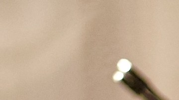 Cuáles son los temas a evitar en una cena de Thanksgiving, según psicoterapeuta.