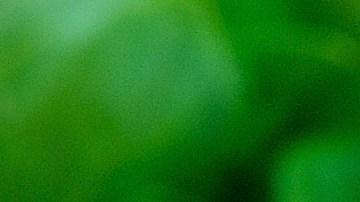 Cuán efectivo es el truco de la cebolla en casa para no enfermarte.