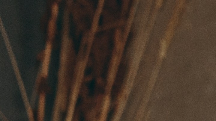 Estudio revela que el uso de teléfonos en exceso afecta el recuento de espermatozoides.