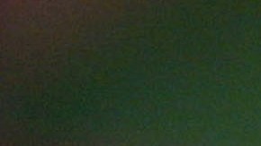 Plantas más elegidas para decorar la casa en la Navidad