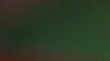 Plantas más elegidas para decorar la casa en la Navidad