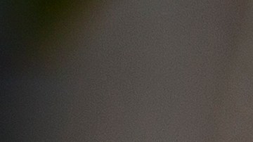 Comidas para mascotas son retiradas por presencia de bacterias que pueden provocar intoxicación alimentaria.