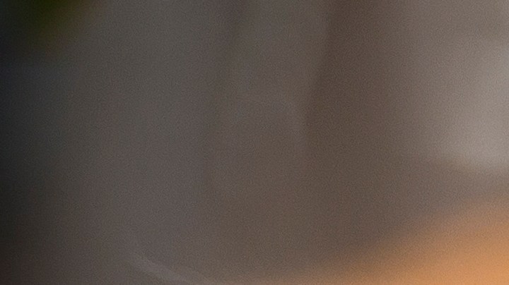 Comidas para mascotas son retiradas por presencia de bacterias que pueden provocar intoxicación alimentaria.