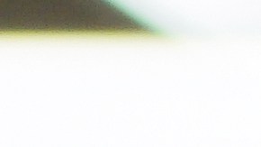 Retiran carne molida del mercado por E. coli, qué hacer si la compraste.