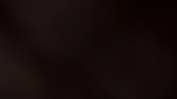 Coles de bruselas, una de las verduras más infravaloradas.