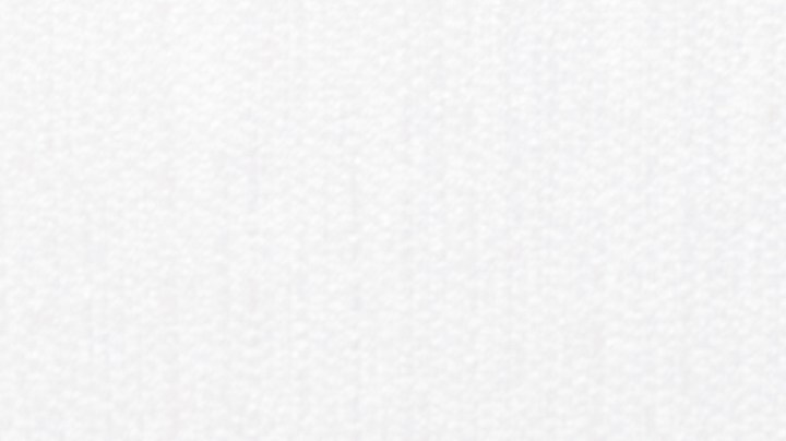 Cuáles son las consecuencias de tener un gato en casa.