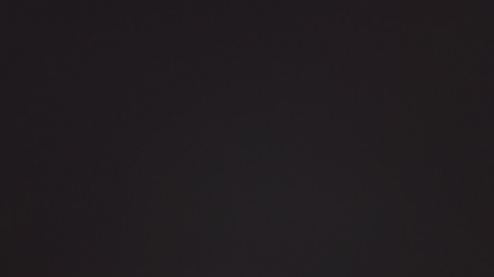 Trucos para que tu mascota no sufra durante los fuegos artificiales de Año Nuevo.