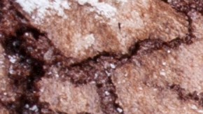 Cómo preparar galletas navideñas de brownie y arádanos.