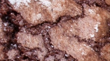 Cómo preparar galletas navideñas de brownie y arádanos.