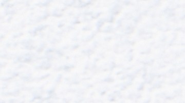 Cuál es la verdura que más debes comer para ir al baño, según expertos.