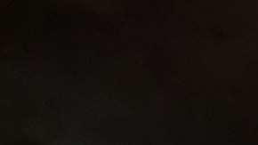 Cuáles son los hábitos de limpieza y orden que atraen ratones.