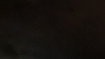 Cuáles son los hábitos de limpieza y orden que atraen ratones.