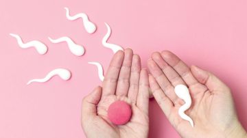 FDA aprueba un kit de inseminación casero: cómo funciona - Estar Mejor