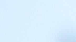 La razón por la que algunos insectos se sienten atraídos por las luces navideñas de tu casa.