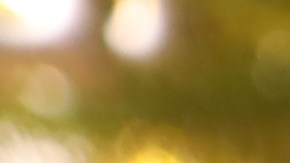 La razón por la que puedes ver "Mi Pobre Angelito" una y otra vez en Navidad.