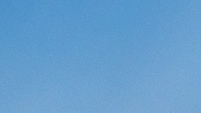 Cuán efectiva es la miel de ajo fermentada para curar un resfriado.