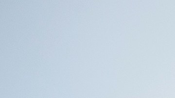 Cuán cierto es que tu relación es más duradero si tu novio platos.