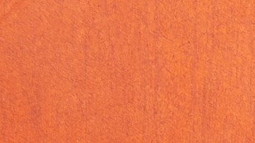 2024 Año del Dragón de Madera: marcado por el poder y la fortuna, según el Horóscopo Chino