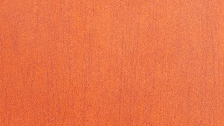 2024 Año del Dragón de Madera: marcado por el poder y la fortuna, según el Horóscopo Chino