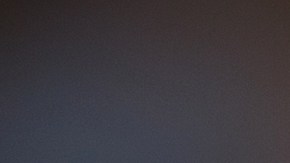 Cuáles son los hongos medicinales y qué impacto tienen en la salud