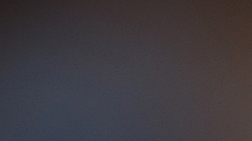 Cuáles son los hongos medicinales y qué impacto tienen en la salud