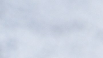 Smoothie de palta: La opción ideal para arrancar el día con energía