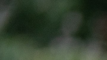 Señales para detectar una relación tóxica en tu hijo adolescente