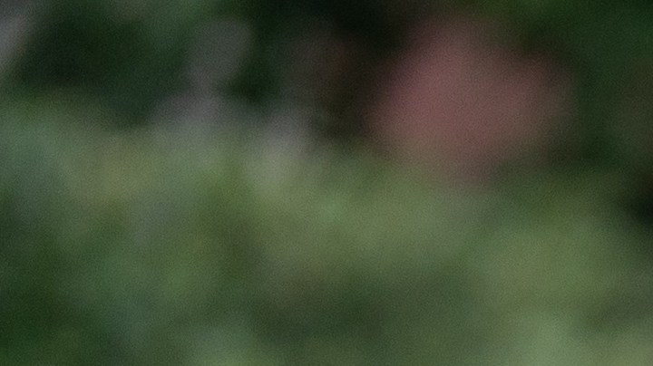 Señales para detectar una relación tóxica en tu hijo adolescente