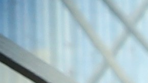 LOS MEJORES ÁRBOLES FRUTALES EN MACETAS PARA TU BALCÓN, TERRAZA O JARDÍN