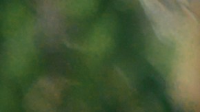 Qué tan rápido debo caminar para reducir el riesgo de diabetes, según un nuevo estudio