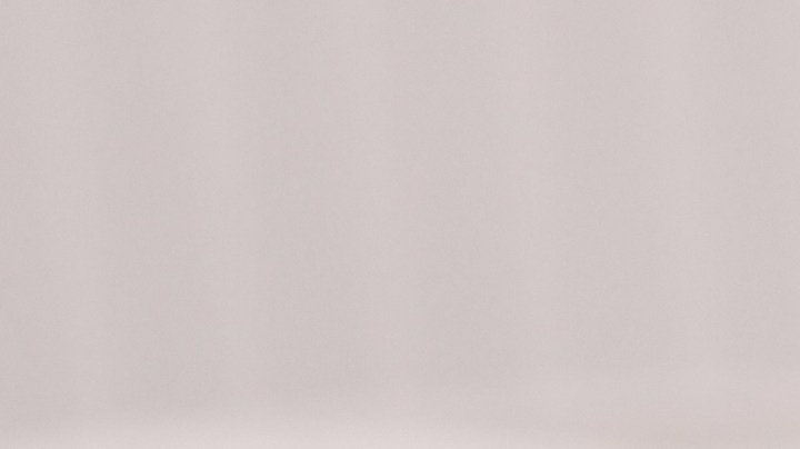 Mujer que estaba en UCI se recuperó con la visita de su perro, pero luego el animal falleció