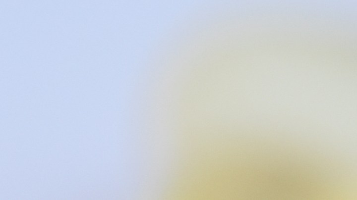 Vitamina B12: Suplemento infaltable en las mujeres adultas