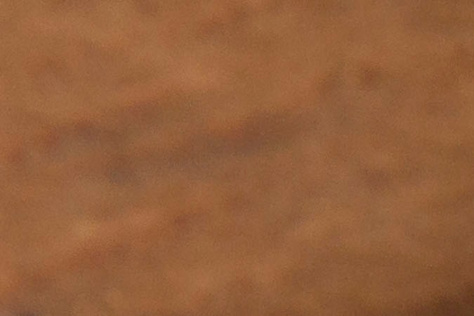 Té de moringa para reducir la presión arterial: cuán efectivo es.