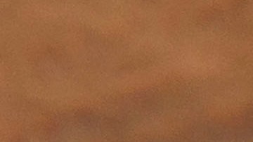 Té de moringa para reducir la presión arterial: cuán efectivo es.