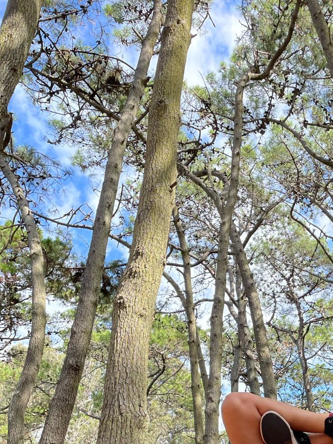 Transforma tu silueta con pilates fusión en pocas clases, según experta