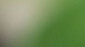 Cuáles son los alimentos que pueden actuar como antibióticos.