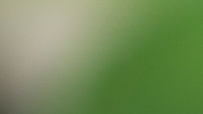 Cuáles son los alimentos que pueden actuar como antibióticos.